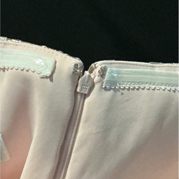 NEW Dessy Collection Strapless Floral Embroidered Corset Maxi Dress Blush 18 - Picture 8 of 14